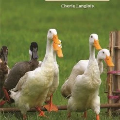 Companion Books Hobby Farm Ducks - Books and Magazines