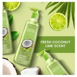 Caretouch Antibacterial Hand Soap - Coconut Lime, 13.25 - CTHSCL13 - Bathroom Essentials -Food & Household Goods Sales 6749e28e172eafee30df11aa3e8fb102137b7700 610200003 2