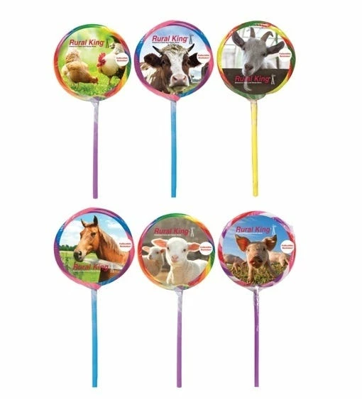 Squire Boone Assorted Lollipops with Animal Stickers - Hard Candy & Lollipops 1 Squire Boone Assorted Lollipops with Animal Stickers - Hard Candy & Lollipops