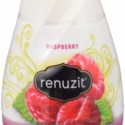 Renuzit Adjustable Cone Raspberry 7.5 oz 1716905 - Air Fresheners